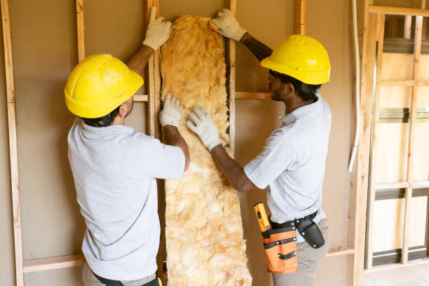 Best Eco-Friendly or Green Insulation Solutions  in Derby, CT